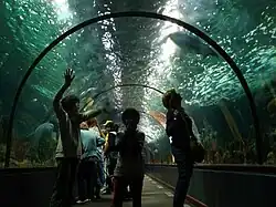 Aquarium