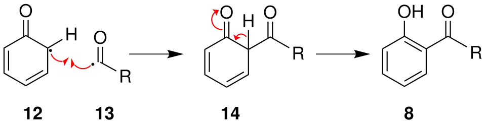 Réarrangement en position ortho.