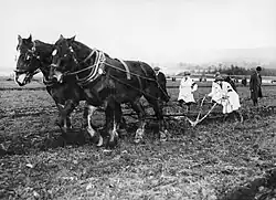 Des landgirls effectuent un labour en planches (Royaume-Uni, 1914). Suivre la charrue au pas rapide des chevaux, la maintenir bien en terre pour compenser l'effort latéral était un travail éreintant.