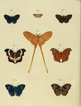 Description de l'image CramerAndStoll-uitlandsche kapellen supplement- pl. 27.jpg.