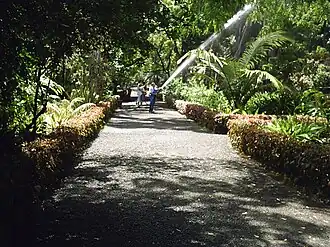 Image illustrative de l’article Jardin d'acclimatation de La Orotava