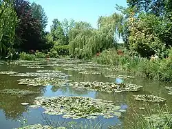 Giverny - le bassin aux nymphéas.