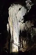 La méduse, symbole de la grotte.