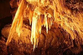 Marakoopa Cave
