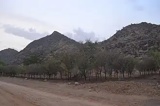 Godola