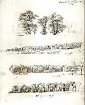 Caspar David Friedrich : Études d'arbres (Baumstudien), 1809