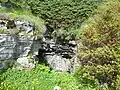 Le gouffre de Source Vieille est l'accès le plus rapide et le plus facile au Cernon souterrain.