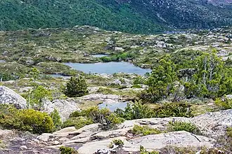 Plateau de Tarn