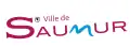 Image illustrative de l’article Saumur