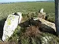 Vue rapprochée.