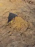 Amas de limon.