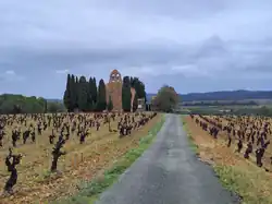 L'église Saint-Martin vue du chemin en venant de Gasparets.