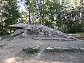 Crocodile.