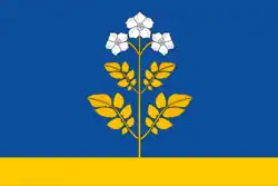 Drapeau de Raïon de Falionki