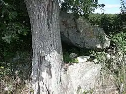 Image illustrative de l’article Dolmen de Chantepierre