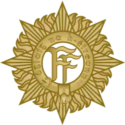 Image illustrative de l’article Armée nationale irlandaise
