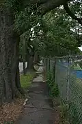 Photo de Durham en Caroline du Nord, le regard est clairement dirigé vers le point de fuite de l'allée, point de fuite principal de la perspective.