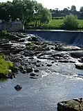 Rapides Halisten koski.