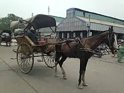 Attelage d'un cheval brun émacié.