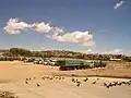 Camions à la frontière, avec Villazón (Bolivie) à l'arrière-plan.