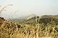 Paysage dans les hauteurs du mont Nimba, Guinée