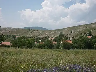 Kruševljani