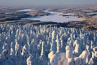 Image illustrative de l’article Iijärvi (Kuusamo)