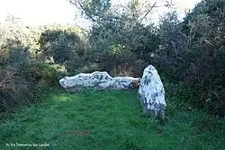 Image illustrative de l’article Dolmen des Landes