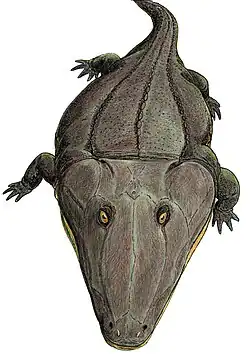 Restitution de Mastodonsaurus.