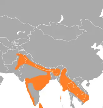 Description de l'image Psittacula eupatria range map.png.
