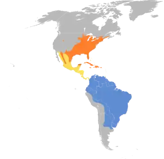 Description de l'image Coccyzus americanus map.svg.