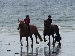 Équitation de loisir sur la plage de Penvins en 2018.
