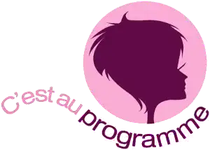Logo de l'émission de 2003 à janvier 2018.