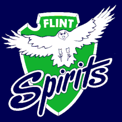Description de l'image Flintspirits.gif.