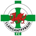 Llansantffraid FC (jusqu'en 1996)