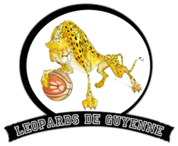 Logo du Bordeaux Léopards de Guyenne