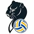 Logo de 2012 à ?.