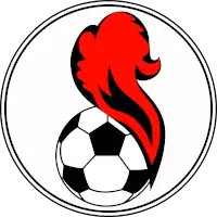 Logo du SS Pennarossa