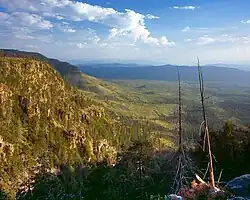 Vue depuis le Mogollon Rim près de Payson