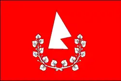 Drapeau de Česká