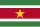 icône décorative
