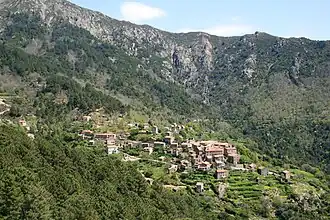 Rosazia