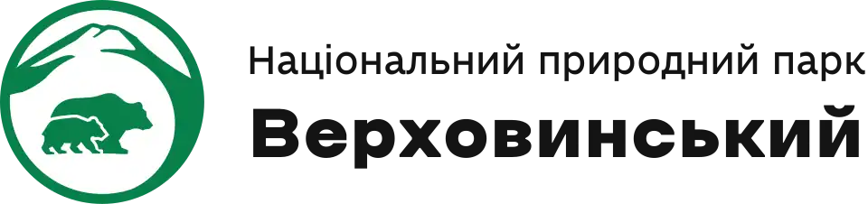 Son logo,