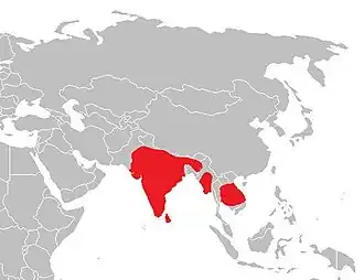 Description de l'image Burhinus indicus range.jpg.