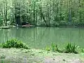 Fischteich im Braubachtal