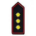 Landesfeuerwehrverband Vorsitzende/-r