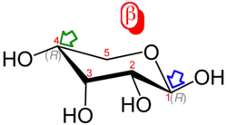 BETA-D-Ribopyranose