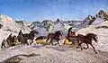 Posta del Bernina 1908