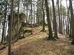 Bild 5: Ansicht des Burghügels aus nördlicher Richtung