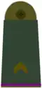 Feldwebel[A 10]